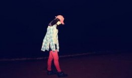 紫麻豆,探寻神秘豆类的传奇故事